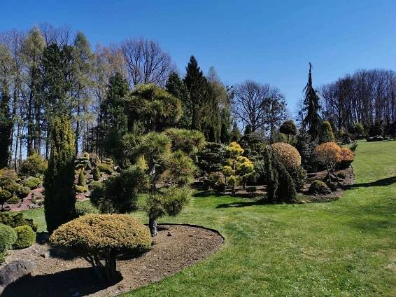 Miniarboretum U Holubů ve Staříči.
