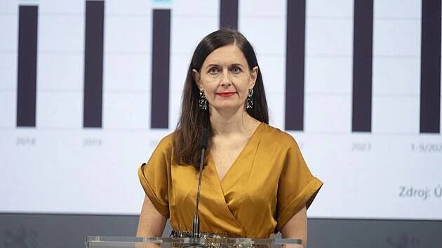 Vládní zmocněnkyně pro lidská práva Klára Šimáčková Laurenčíková při setkání s novináři při příležitostí Mezinárodního dne boje proti násilí na ženách
