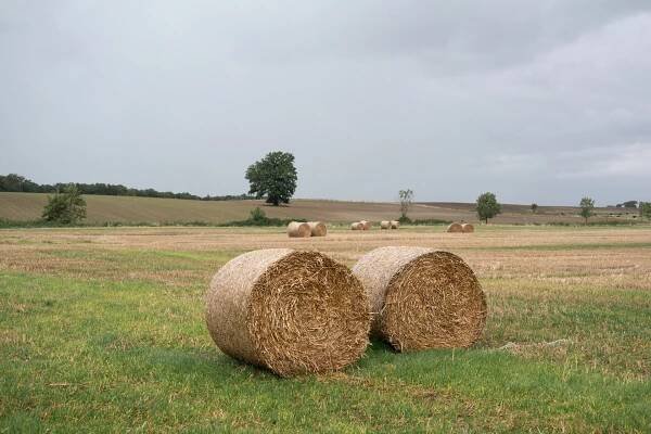 Bale of dry hay on field and medow, Bergov, Vlčice, Czech Republic