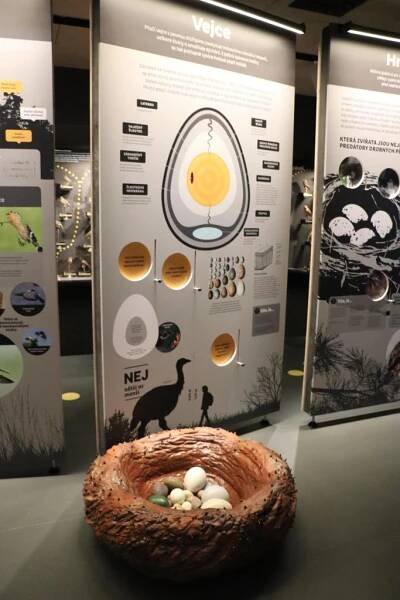 ORNIS - Ornitologická stanice - Město Přerov