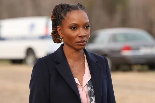 Shanola Hampton as Gabi Mosely on 'Found'