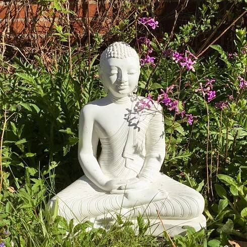 Dharma | Soulteachings