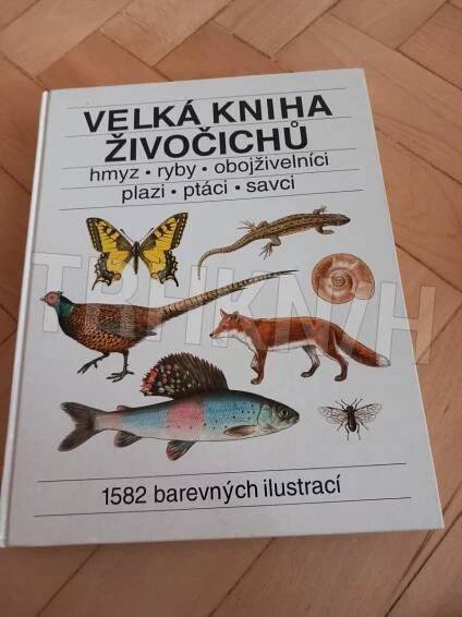 Kniha Velká kniha živočichů - Hmyz, ryby, obojživelníci, plazi, ptáci, savci - Trh knih - online antikvariát