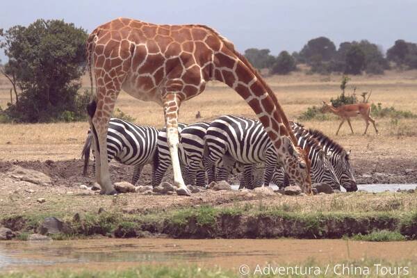 Keňa a Tanzanie ve spolupráci se ZOO Dvůr Králové