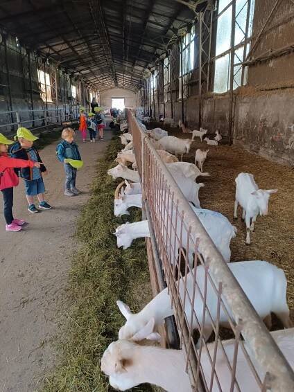 5. 6. Farma Pěnčín