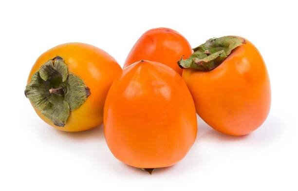 Kaki (Churma) - Persimmon