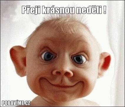 Přání na neděli. Hlášky na neděli. Nej přání na neděli