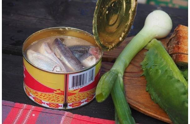Švédská zapáchající pochoutka surströmming vznikla náhodou. Je lepší jíst ji venku, ideálně s pálenkou