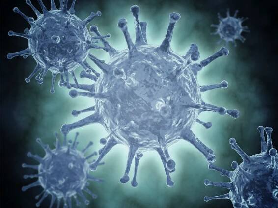 Hepatitis C: the Facts Everyone Should Know