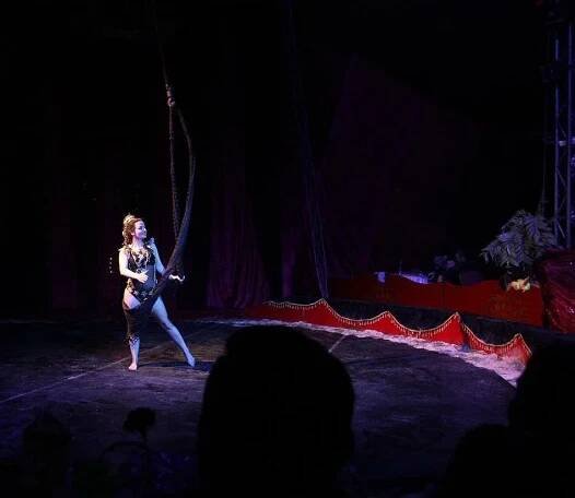 Užijte si show: vstupenky na představení Cirkusu Ohana pro děti i dospělé