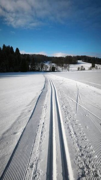 Pasečná