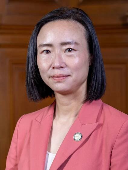 Connie Chan (politician)