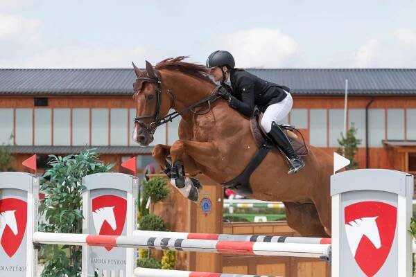 WinnerHorses foto 1