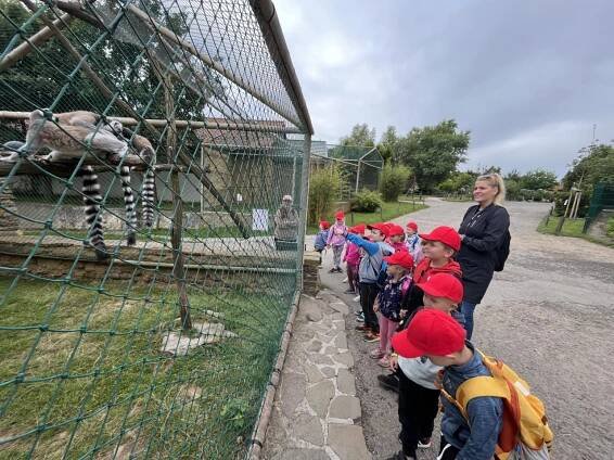 ZOOpark Vyškov - Oficiální stránky MŠ Skaštice