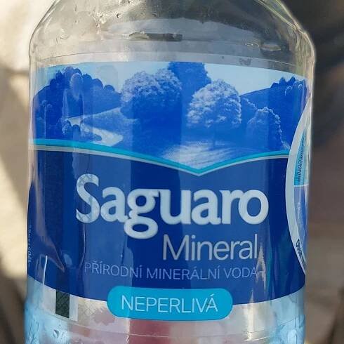 Saguaro Mineral neperlivá