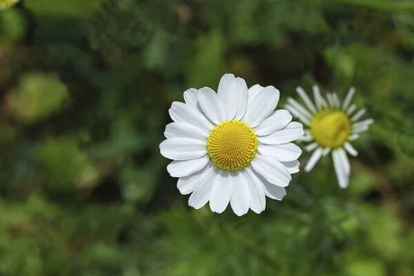imago images 0778694901