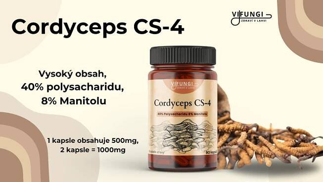 Cordyceps CS4 – 40 % polysacharidů, 8 % manitolu – prémiová kvalita od Vifungi
