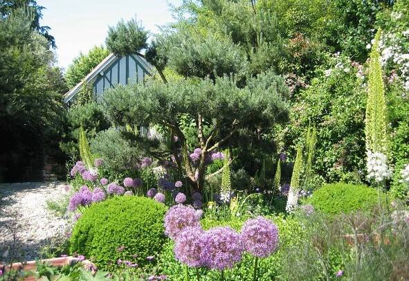 Le jardin d'Agapantheà Grigneuseville