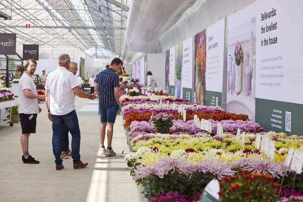 FlowerTrials® 2025 - Royal Van Zanten