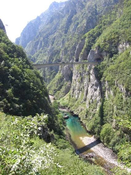 Piva