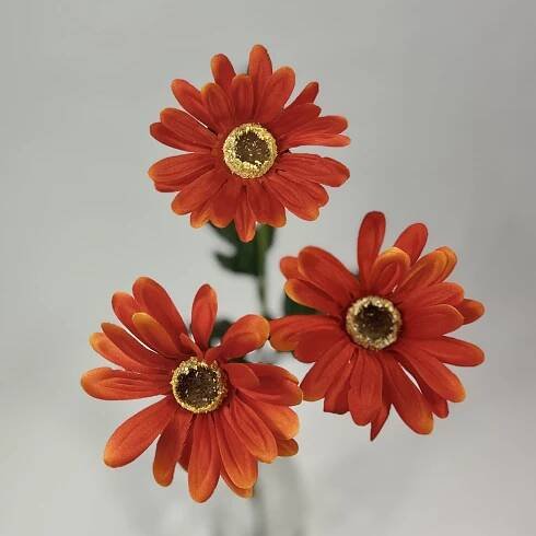 Gerbera Archives - Village Green