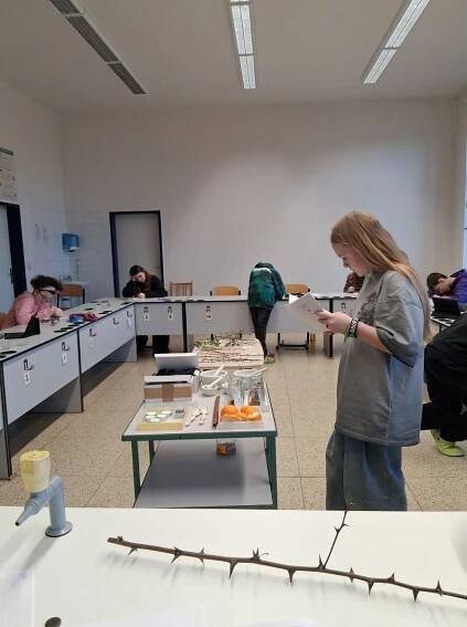 20250124_095412.jpg