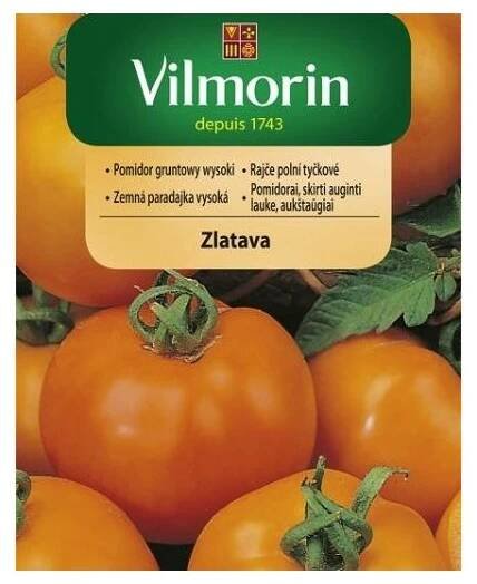 Vilmorin Rajče polní tyčkové 'Zlatava'