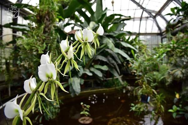 Botanická zahrada v Praze Na Slupi – Turisticky gurman