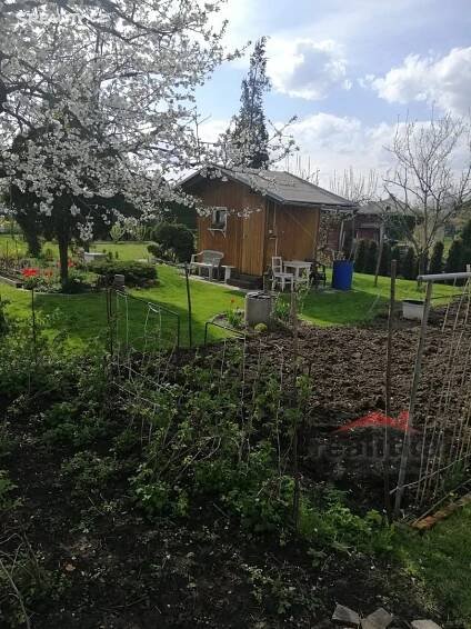 Pronájem Pozemek, Opava, okres Opava