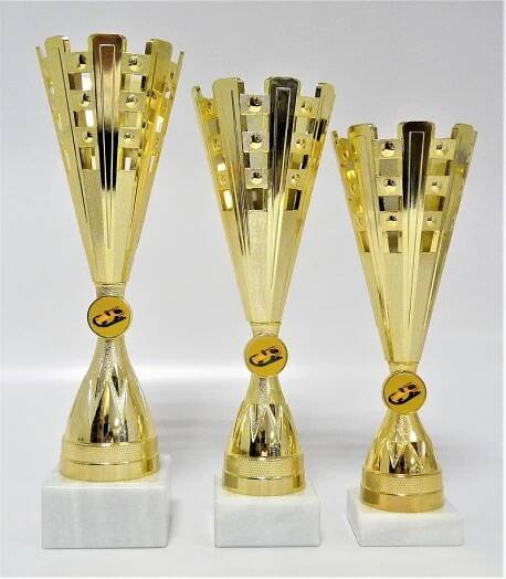 Poháry, medaile, trofeje aj. Tradice od r.1997.