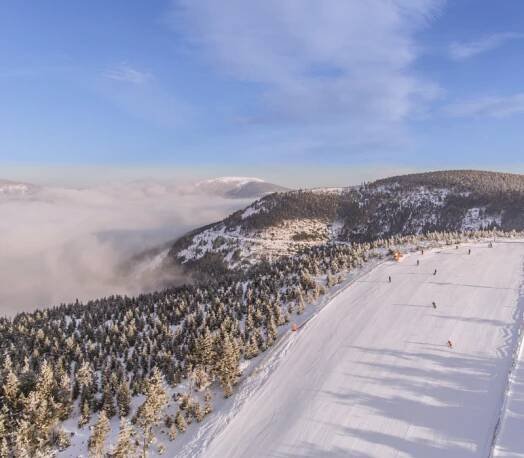 DJI_0570