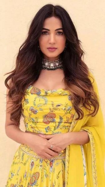 Sonal Chauhan’s unique ethnic style turns heads
