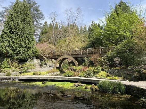 Project Portfolio -Crystal Springs Rhododendron Garden — Permapost