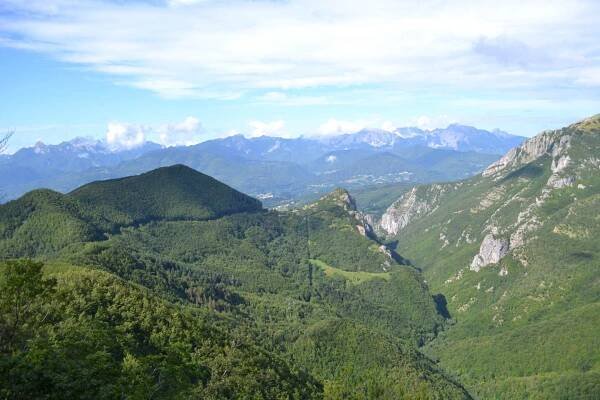 walk in Garfagnana woods - Farmhouse La Grotta della Faina
