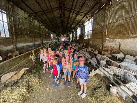 Výlet na kozí farmu v Pěnčíně – Mateřská škola Všeň