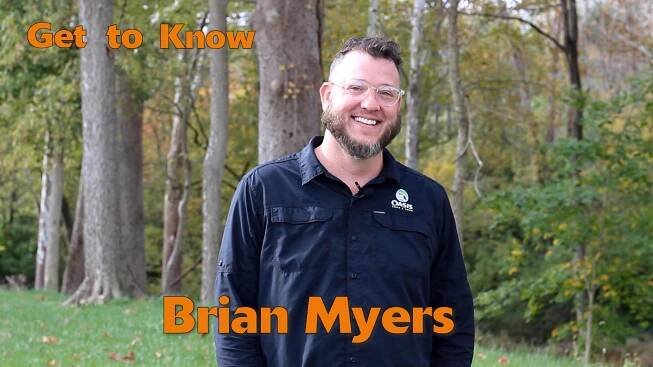 The Oasis Blog | Lawn and Tree Care Tips for Your Cincinnati Home