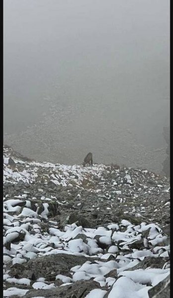 Tatry pokryl sníh - Sníh v Tatrách (7/8)
