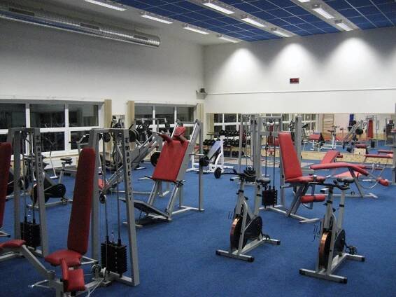 Fotografie Arnold's Gymu - Arnold's Gym
