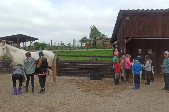 Farma Hájenka, Hromnice | Hotely Penziony .cz
