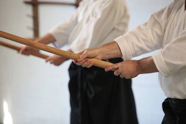 Jikishinkan_Aikido_Classes_29.jpg