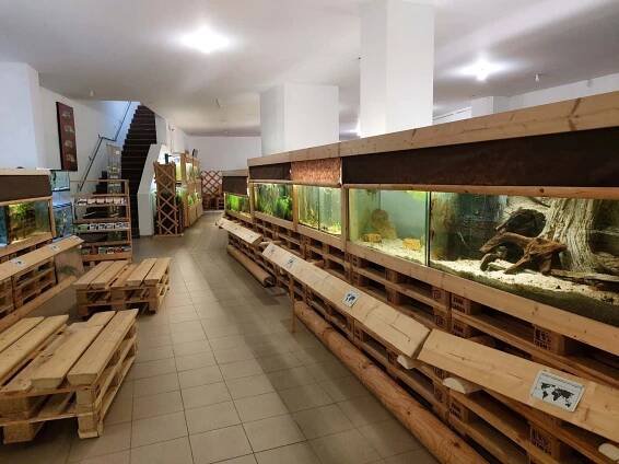 Veřejné akvárium Česká Lípa
