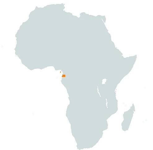 Guinée Equatoriale – International BESC Business