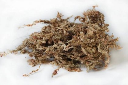 Mech rašelinový Sphagnum Moss z Chile 4l.