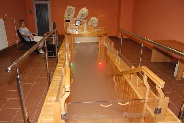 Chlad, který léčí, Kryoterapie - biofyzikální principy a základní klinické aplikace - Lékařská biofyzika