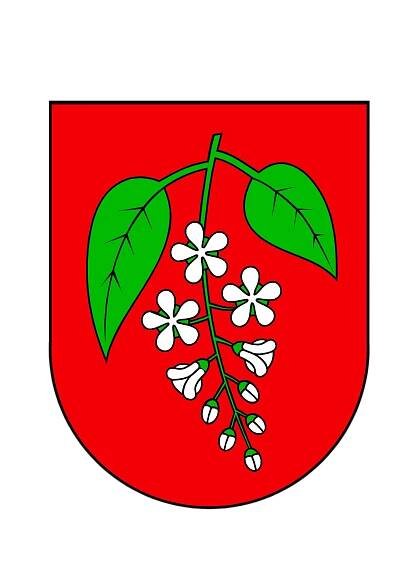 Město Třemošná logo