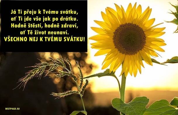 Přání k svátku - text v obrázcích. Krásná přáníčka ke stažení