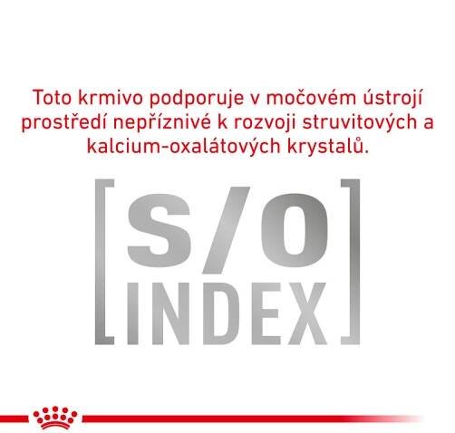 Royal Canin VHN Dog Diabetic Special Low Carbohydrate, konzerva 195 g