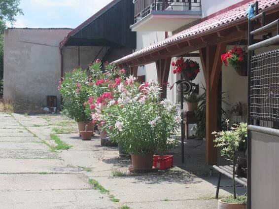 Hostinec Ve statku foto 3