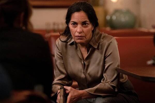 Zákon a pořádek: Útvar pro zvláštní oběti - In the Year We All Fell Down - Z filmu - Sarita Choudhury