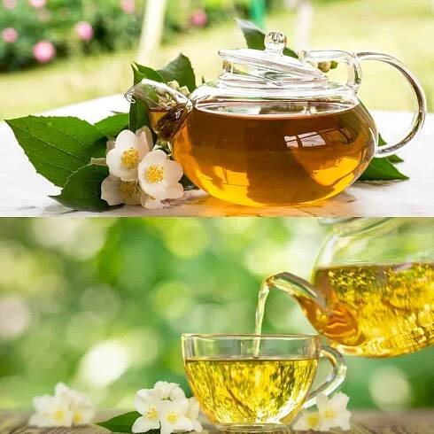7 Best Jasmine Tea